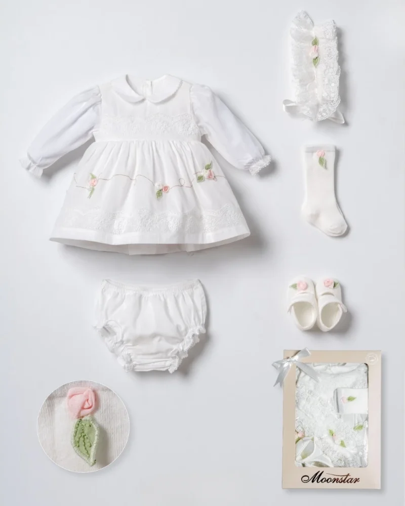 Blush Rose Embroidered Dress Set